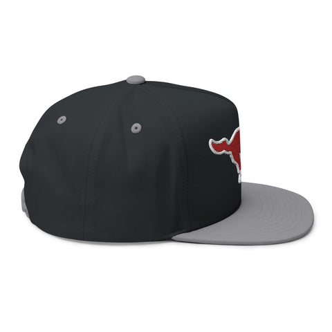 Tuslaw Running Mustang Patch Snapback