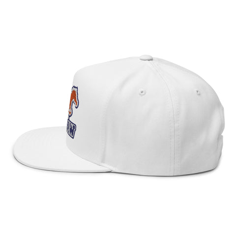 Tuslaw Mustangs Embroidered Flat Bill Hat