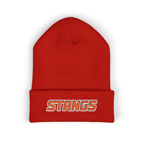 Tuslaw Stangs Beanie