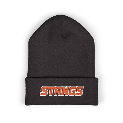 Tuslaw Stangs Beanie