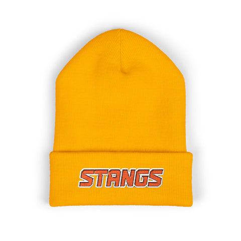 Tuslaw Stangs Beanie