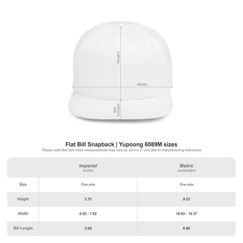 Tuslaw Mustangs Script Embroidered Snapback Hat