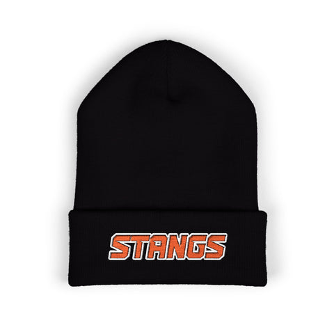 Tuslaw Stangs Beanie