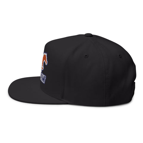Tuslaw Mustangs Embroidered Flat Bill Hat