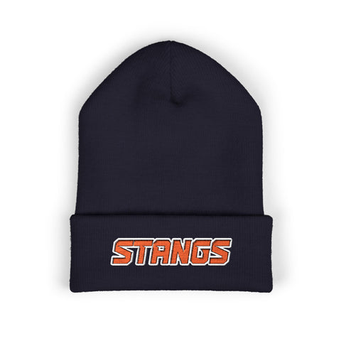 Tuslaw Stangs Beanie