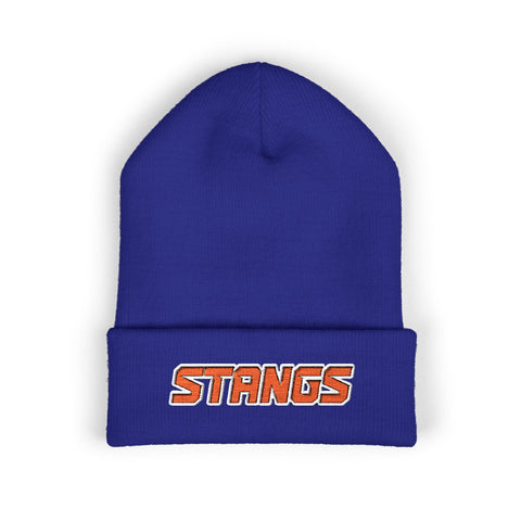 Tuslaw Stangs Beanie