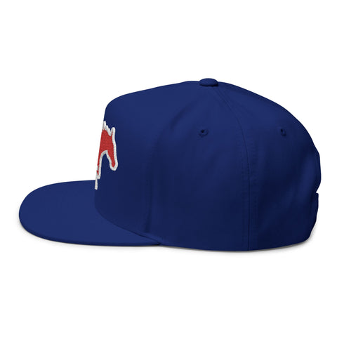 Tuslaw Running Mustang Patch Snapback