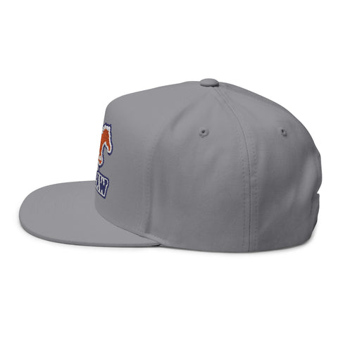 Tuslaw Mustangs Embroidered Flat Bill Hat
