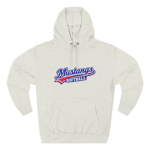 Tuslaw Softball — Vintage Varsity Hoodie