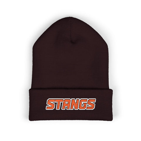 Tuslaw Stangs Beanie