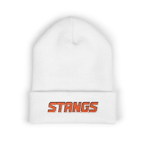 Tuslaw Stangs Beanie
