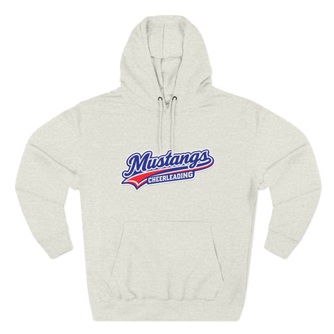 Tuslaw Cheer — Vintage Varsity Hoodie