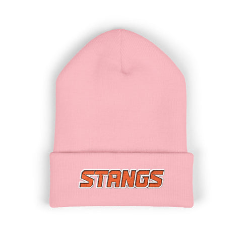 Tuslaw Stangs Beanie